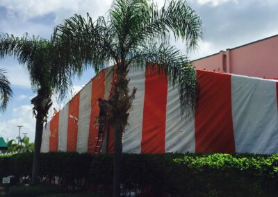 termite control services